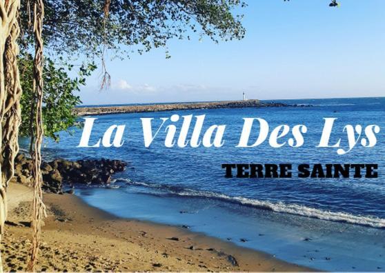 La Villa Des Lys Saint Pierre Extérieur photo